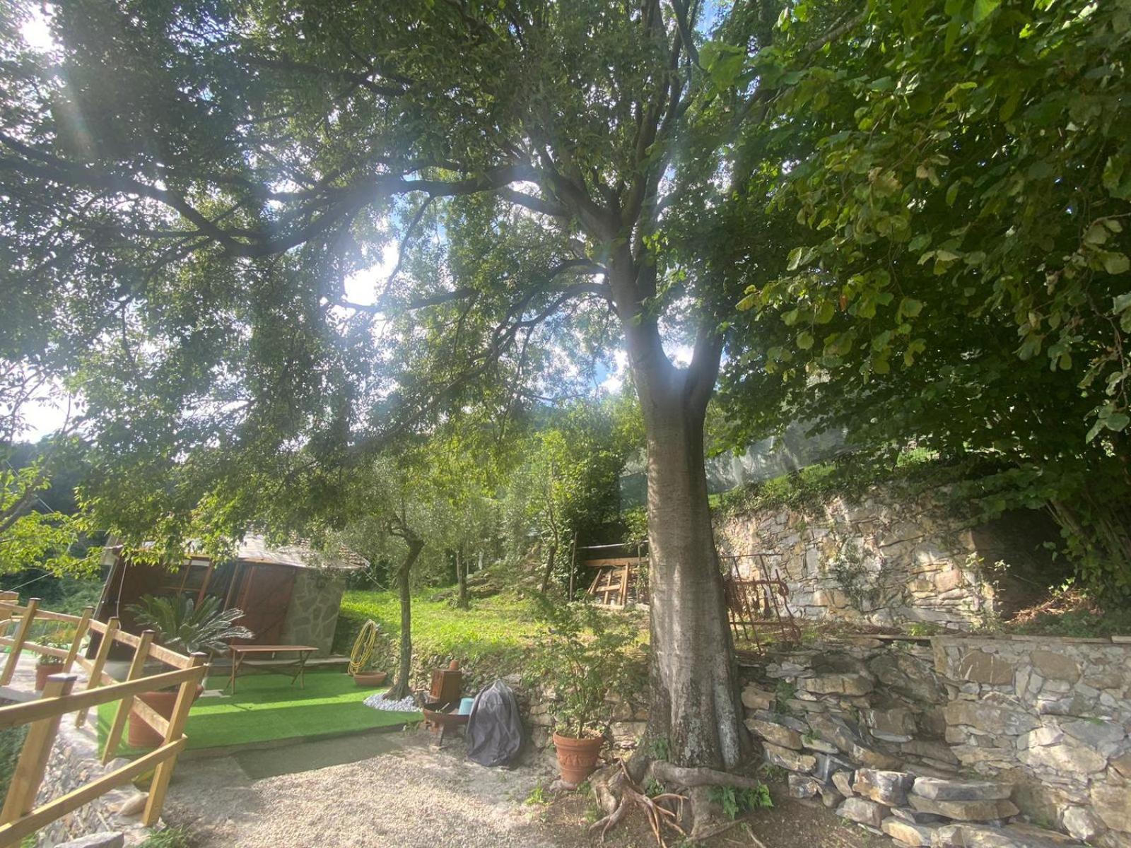 La Sosta Al Bagolaro Daire Rapallo Dış mekan fotoğraf