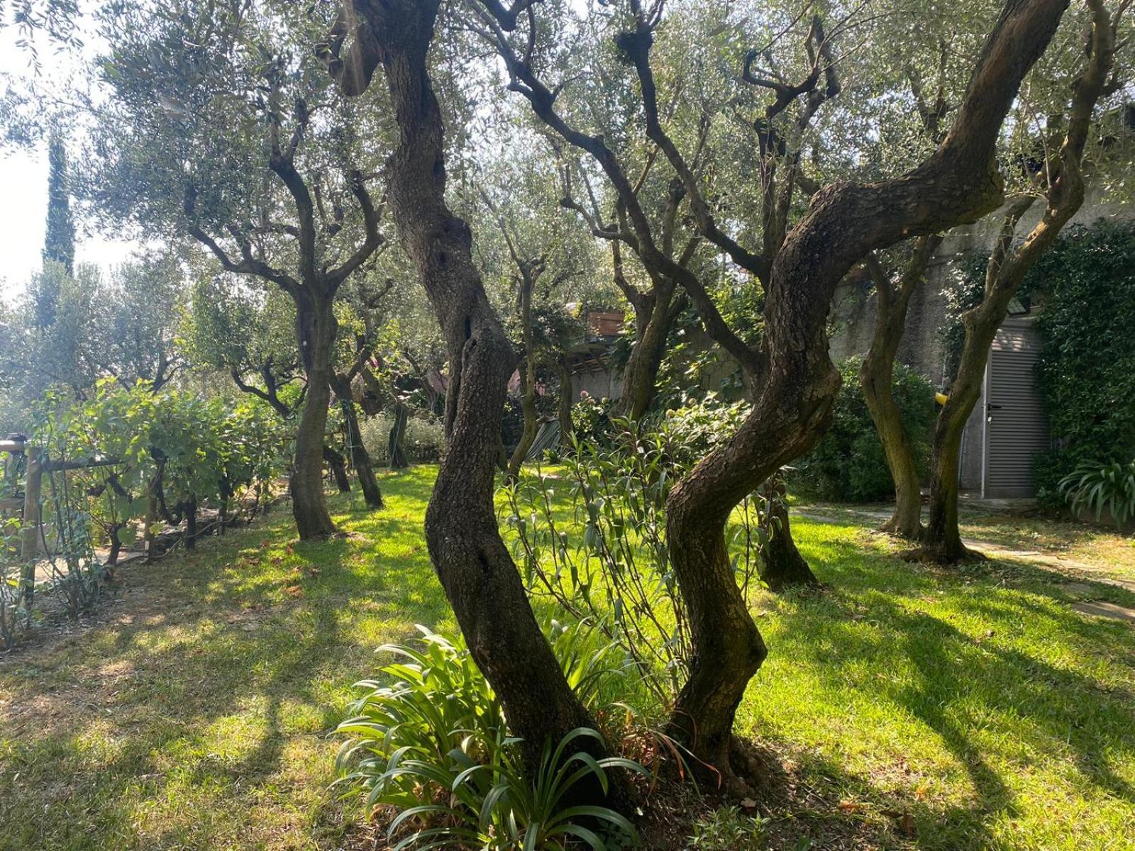 La Sosta Al Bagolaro Daire Rapallo Dış mekan fotoğraf